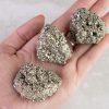 CHISPAPYRIETS-3.jpg