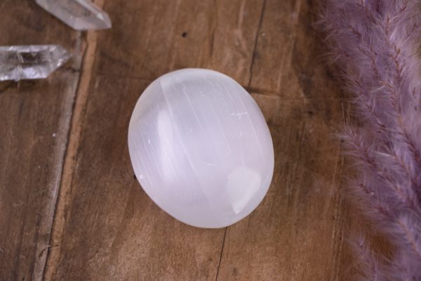 IMG_33345671.jpg