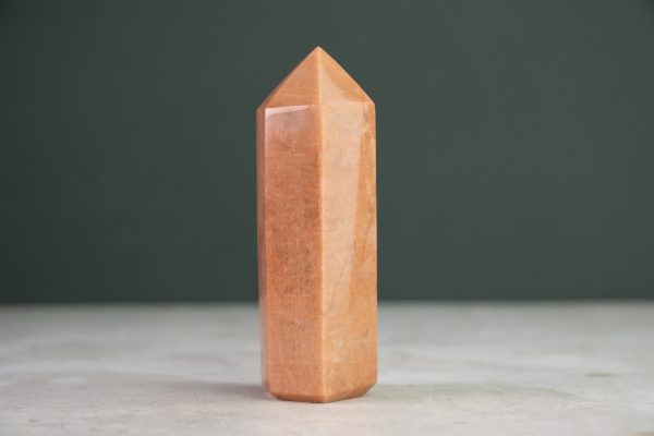 PMAANPUNT01-3.jpg