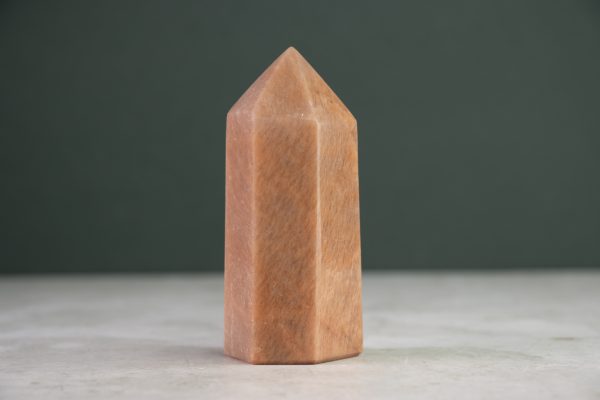 PMAANPUNT03-1.jpg