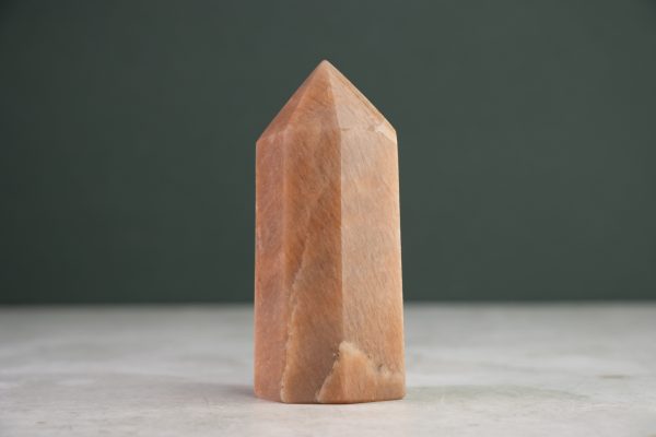 PMAANPUNT03-4.jpg
