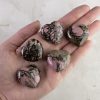 RHODOHART01-2